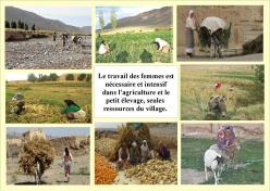1 agriculture cercle n zala page 001
